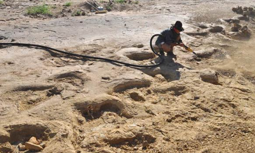 சிலி நாட்டின் சிறிய நகரில் டைனோசர்களின் கால் தடங்கள் கண்டுபிடிப்பு