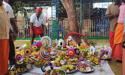 கோபிசெட்டிபாளையம் கோட்டை முனியப்பசாமி கோவில் விழா