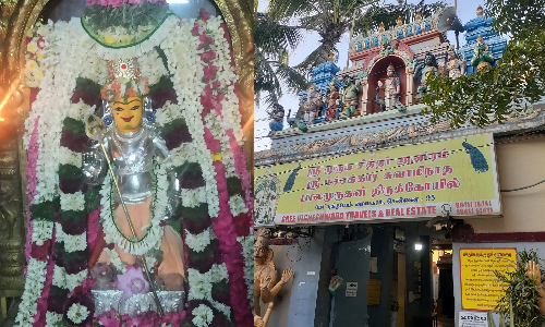 திருமண வரம் தரும் மச்சக்கார முருகன்
