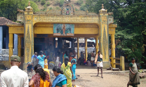 சொரிமுத்து அய்யனார் கோவில் ஆடி அமாவாசை விழா: தனியார் வாகனங்களுக்கு அனுமதி கிடையாது