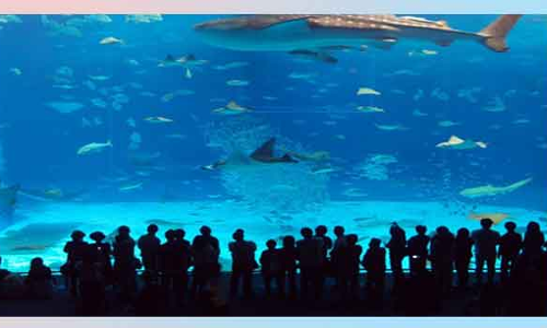 கடல் பூங்கா திட்டத்தை தொழிற்பேட்டையாக மாற்ற முடிவு