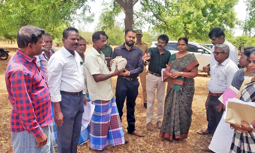 கீழப்பாவூர் பகுதியில் வேளாண் பணிகளை கலெக்டர் ஆய்வு