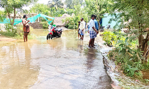 கொள்ளிடம் ஆற்றில் வெள்ளம்; வீடுகளை சூழ்ந்த தண்ணீர்- பயிர்கள் சேதம்