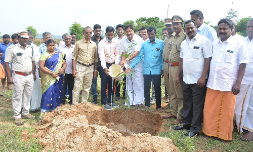 பொதுமக்கள் தங்கள் வீடுகளுக்கு தேவைப்படும்   தென்னங்கன்று, வேப்பமரக்கன்றுகளை  வனத்துறையிடம் இலவசமாக பெற்று கொள்ளலாம்-  எம்.எல்.ஏ. மதியழகன் தகவல்