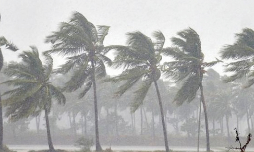 வேலூரில் பலத்த காற்றுடன் மழை