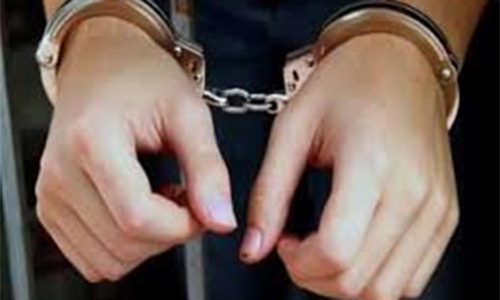 பஸ்சில் பயணியிடம் பணம் திருடிய இளம்பெண் கைது