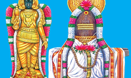 நெல்லையப்பர் கோவிலில் நாளை ஆடிப்பூர திருவிழா கொடியேற்றம்