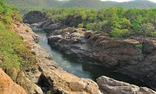 கோத்தகிரியில்   சோலை காடுகள் பாதுகாப்பு மையம்