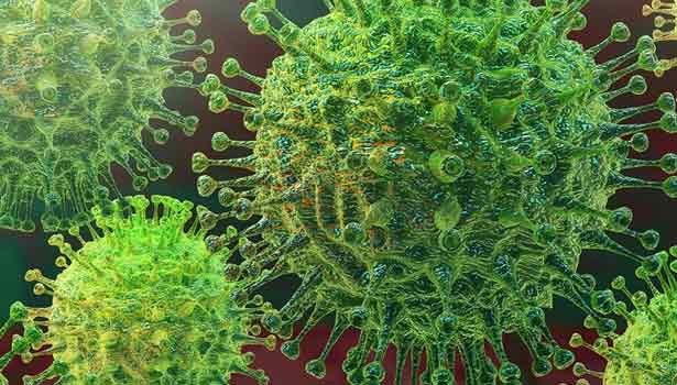 கொரோனாவுக்கு காரைக்கால் பெண் பலி கொரோனாவுக்கு காரைக்கால் பெண் பலி