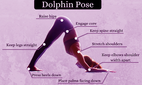 நுரையீரலை பலப்படுத்தும் அர்த்த பிஞ்ச மயூராசனம்