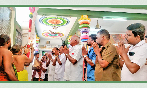 கோவில்பட்டி புற்றுக்கோவிலில் ஆடித்தபசு கால்நாட்டு விழா
