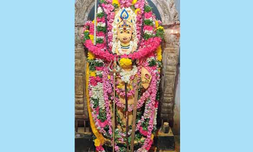 பைரவருக்கு சிறப்பு வழிபாடு