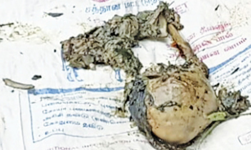 அழுகிய நிலையில் ஆண் பிணம்