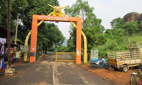 களக்காடு மலையடிவாரத்தில் வனவிலங்குகள் நடமாட்டம்-வனத்துறை எச்சரிக்கை