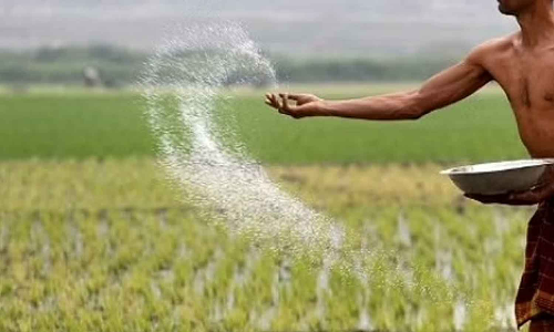 உரம் வாங்கும் போது கூடுதல் இணைப் பொருட்களை விவசாயிகளுக்கு கட்டாயப்படுத்தி வழங்கக் கூடாது