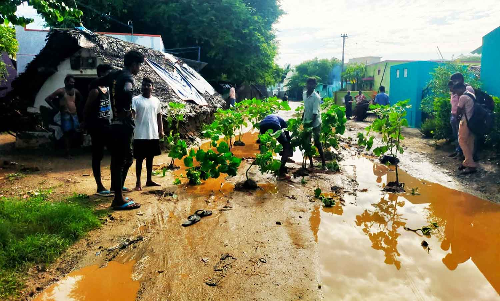 சாலையில் மரக்கன்று நட்டு பொதுமக்கள் நூதன போராட்டம்