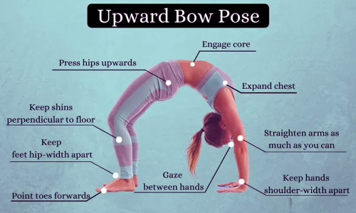 முதுகெலும்பை பலப்படுத்தும் ஊர்த்துவ தனுராசனம்