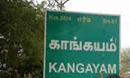 ஜூனியர் புல்லிபாய் காளையை பார்வையிட்டு மகிழ்ந்த அரசின் முதன்மை செயலாளர்