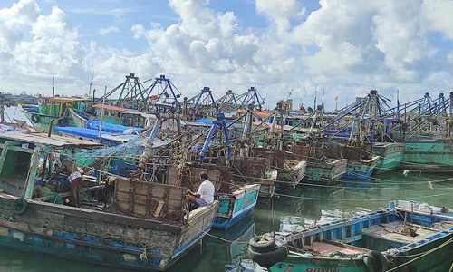 ராமேசுவரம் மீனவர்கள் இன்று வேலைநிறுத்தம்: 800-க்கும் மேற்பட்ட விசைப்படகுகள் கரையில் நிறுத்திவைப்பு