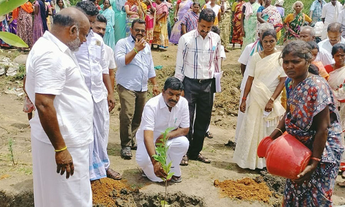 திருநாவலூர் அருகே  மரக்கன்றுகள் நடும் விழா
