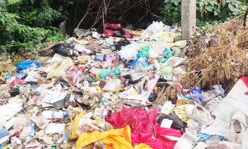 வேலூரில் குப்பைகளால் நோய் பரவும் அபாயம்