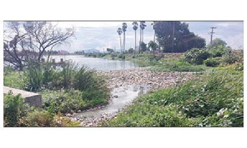 தருமபுரி நகரின் பெருமைகளில் ஒன்றான   பிடமனேரி ஏரி தூர்வாரி சீரமைக்கப்படுமா?  -பொதுமக்கள் எதிர்பார்ப்பு