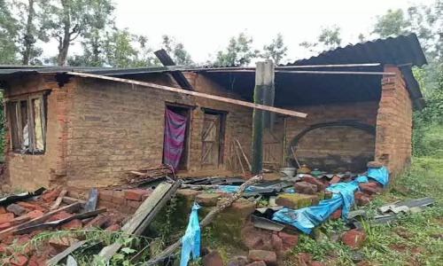 7 வீடுகளை உடைத்து காட்டு யானைகள் அட்டகாசம்