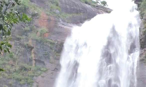 கொல்லிமலை  ஆகாய கங்கை நீர்விழ்ச்சியில் சுற்றுலா பயணிகள் குளிக்க தடை