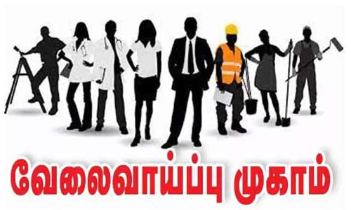 அரசு சார்பில் நடந்த வேலைவாய்ப்பு முகாமில் 102 பேர் பயன்
