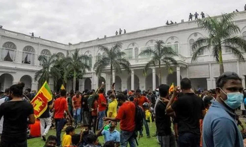 இலங்கை அதிபர் மாளிகை, பிரதமர் இல்லத்தில் இருந்து 1000 கலைப்பொருட்களை அள்ளிச் சென்ற போராட்டக்காரர்கள்