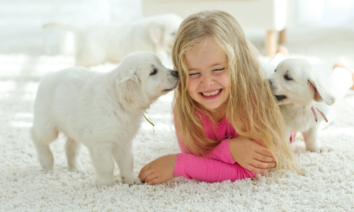 குழந்தைகளுடன் அன்பாக பழகும் நாய் இனங்கள்...