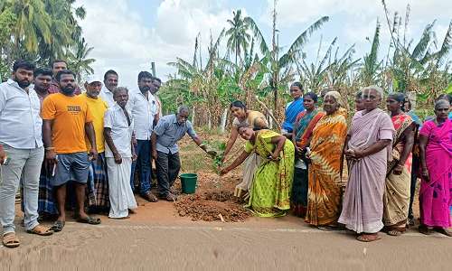 சாயர்புரத்தில்  பேரூராட்சி சார்பில் மரக்கன்று நடும் விழா