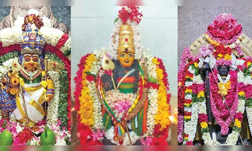 ஆடி கிருத்திகையை முன்னிட்டு முருகன் கோவில்களில் சிறப்பு வழிபாடு