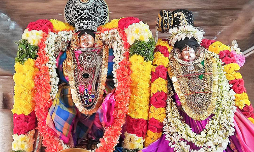 திருவந்திபுரம் தேவநாதசாமி கோவில்:  ஆண்டாள் உற்சவம் தொடங்கியது