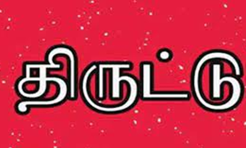 கல்லூரி மாணவியிடம் செல்போன் திருடிய வாலிபர் கைது