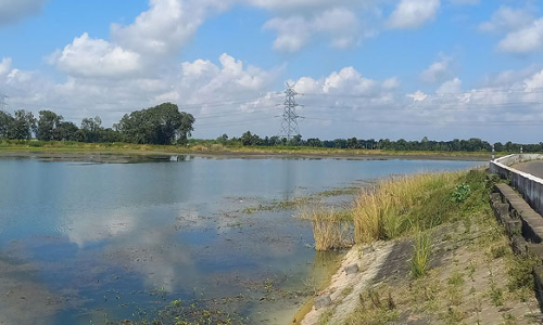 தொடர்ந்து நீர்வரத்து அதிகரிப்பு- வீராணம் ஏரி ஓரிரு நாளில் நிரம்பும்