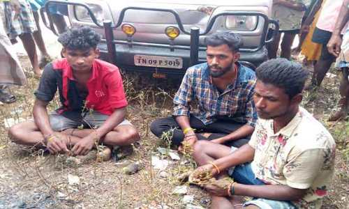 வடமதுரை அருகே ஆடு திருடிய 3 பேர் கைது