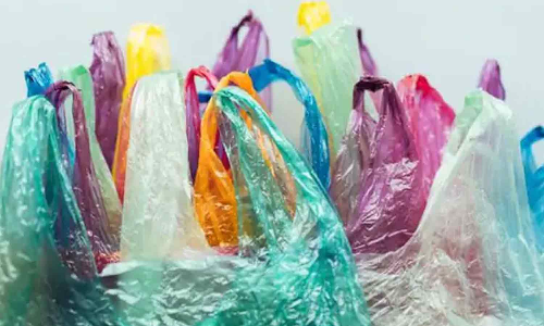 மீஞ்சூர் பேரூராட்சியில் பிளாஸ்டிக் பயன்படுத்திய 20 கடைகளுக்கு அபராதம்- அதிகாரிகள் எச்சரிக்கை