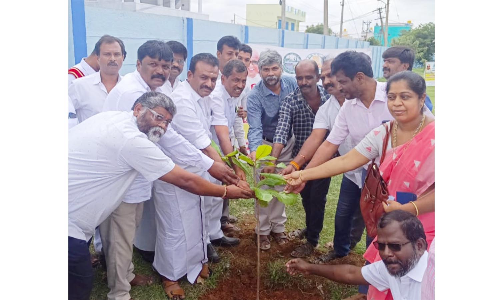 ஓசூர் மாநகராட்சி 5-வது வார்டில்   பூங்காவில் மரக்கன்றுகள் நடவு பணி