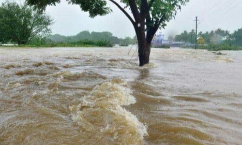 கூடலூரில் வெள்ளப்பெருக்கால் பாலம் உடையும் அபாயம்