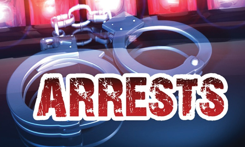 மணிபர்ஸ் திருடிய வாலிபர் கைது