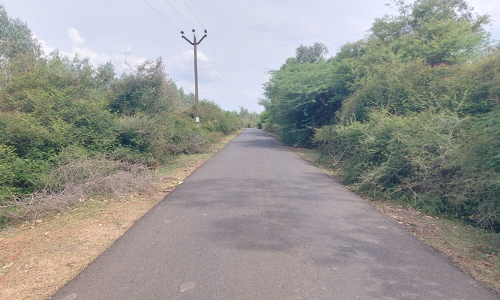 தியாகதுருகம் அருகே சாலை ஓர முட்புதர்களால் வாகன ஓட்டிகள் அவதி