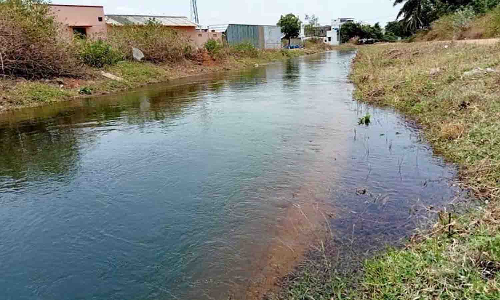 பி.ஏ.பி. கால்வாய்கள் தூர்வாரப்படாததால் 2-ம் மண்டல பாசனத்திற்கு தண்ணீர் திறப்பதில் சிக்கல்