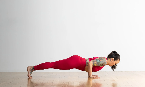 கால்கள், கைகளுக்கு வலிமை தரும் ஸ்டாப் போஸ் என்கிற சதுரங்க தண்டாசனம்