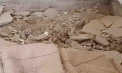 பல்லடம் அருகே அரசு சேமிப்பு கிடங்கில் உணவு பொருட்களை சேதப்படுத்தும் பெருச்சாளிகள்