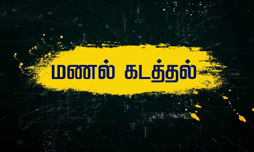 பழவூர் அருகே  லாரியில் மணல் கடத்தல்