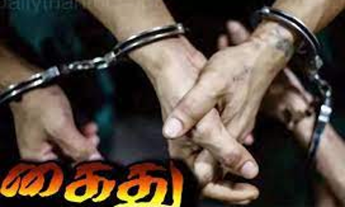 வனஉயிரினங்களை வேட்டையாடிய 3 பேர் கைது
