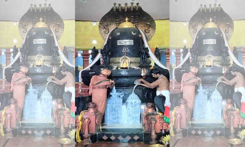 பல்லடம் சிவன் கோவில்களில் பிரதோஷ வழிபாடு