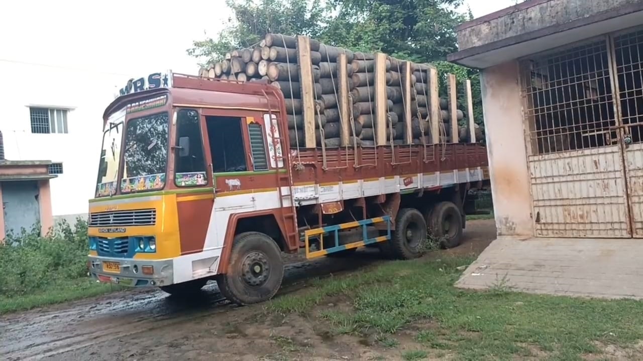 30 பனை மரங்களை வெட்டி கடத்திய லாரி பறிமுதல்