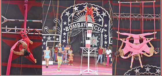 திருச்சியில் நடைபெற்று வரும் பாம்பே சர்க்கஸில் கலைஞர்களின் மெய் சிலிர்க்க வைக்கும் சாகசங்கள்